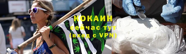 PSILOCYBIN Белокуриха