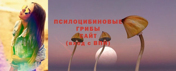 PSILOCYBIN Белокуриха
