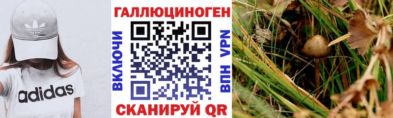 гидра зеркало  Краснокаменск  Псилоцибиновые грибы мицелий 